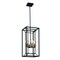 Designers Fountain Within 60 Watt 4 Light Matte Black Pendant with Cage Shade D237M-12P-MB - alternate 1